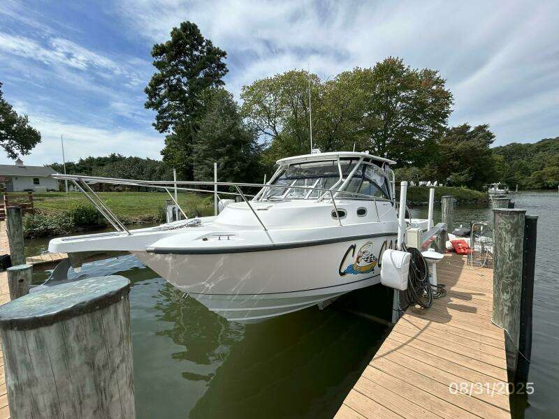 31' Boston Whaler port forward profile