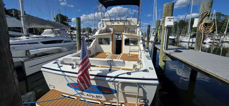1983 Bertram 28 Flybridge