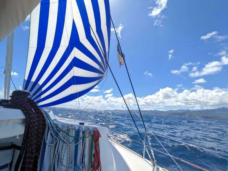 2020 Neel 45 EVOlution