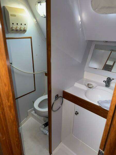 head, vanity and shower