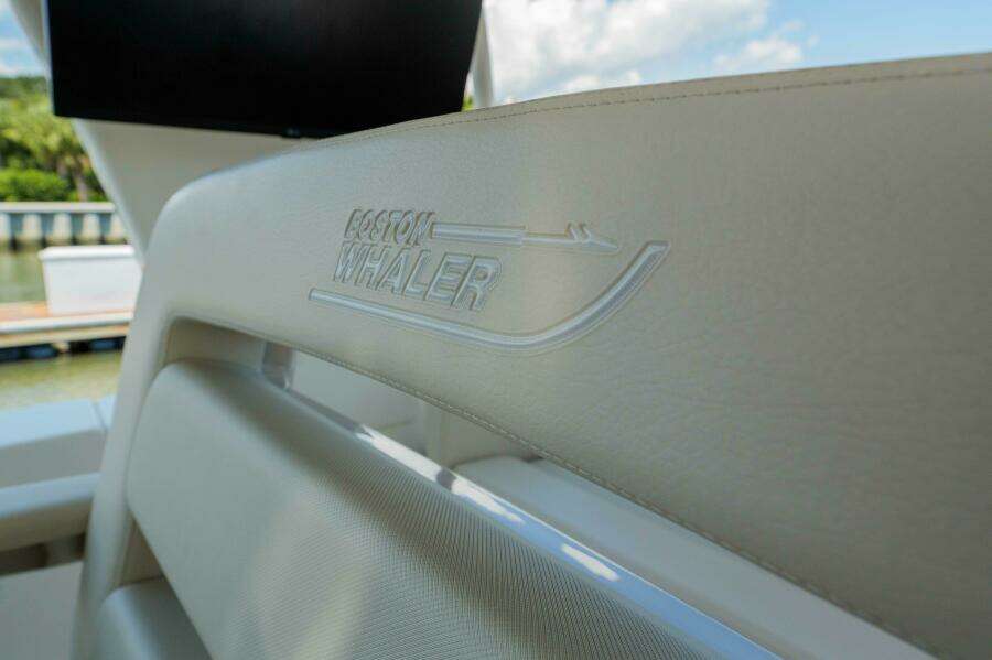 Boston Whaler 380 Realm- Detail