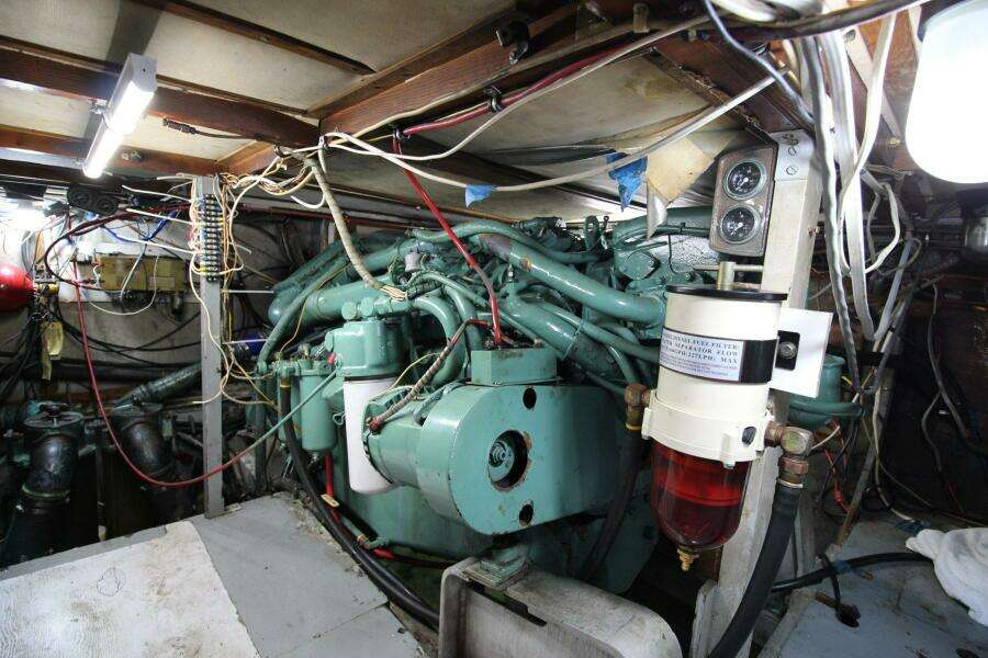 1974 Bertram 42 Motor Yacht