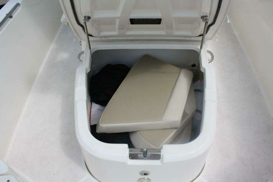 2021 Boston Whaler 270 Dauntless