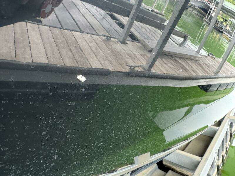 2024 Yamaha Boats 252 SD