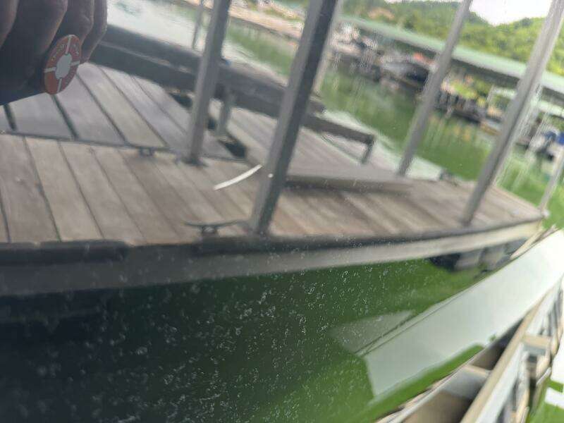 2024 Yamaha Boats 252 SD