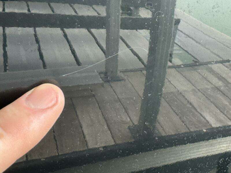 2024 Yamaha Boats 252 SD