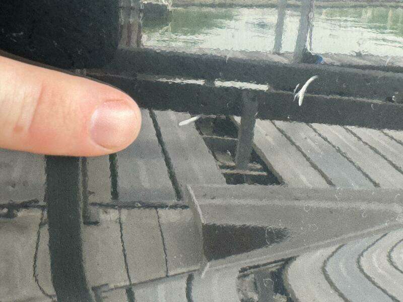 2024 Yamaha Boats 252 SD