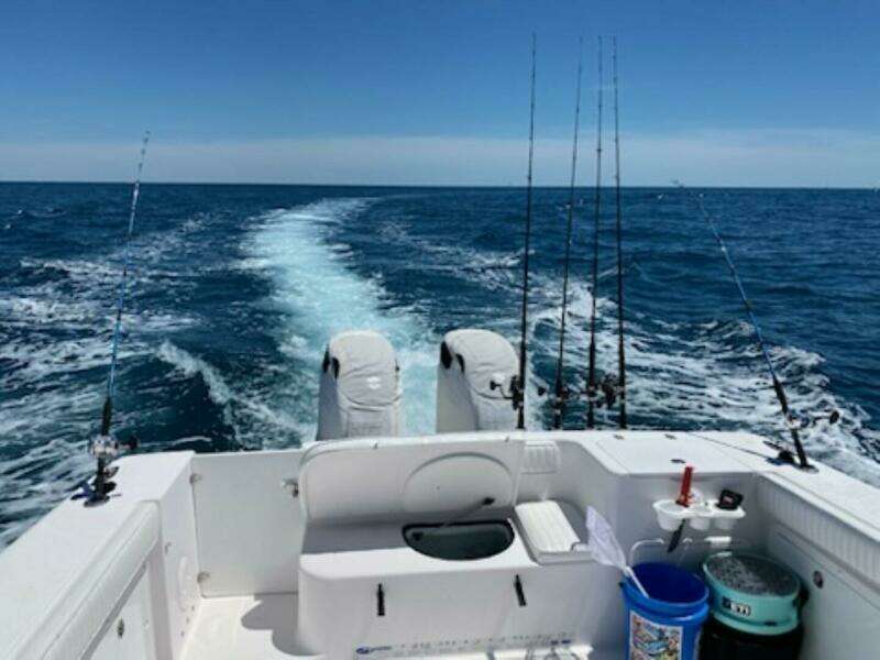 2004 Pro-Line 33 Walk