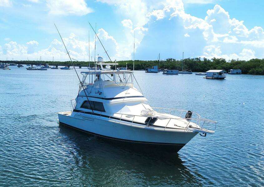 1989 Bertram 50 Convertible