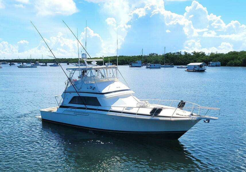 1989 Bertram 50 Convertible