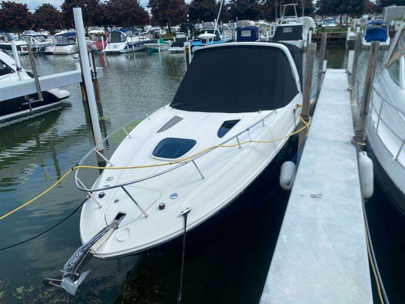 2018 Sea Ray 260 Sundancer