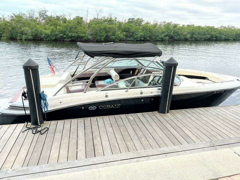 2010 Cobalt 296 Profile 2