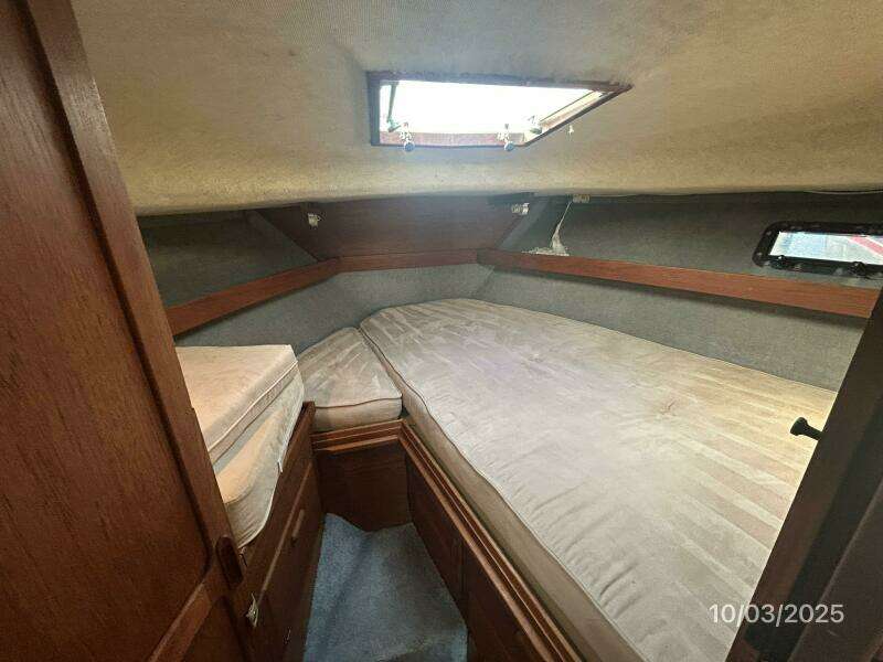 31' Pursuit stateroom