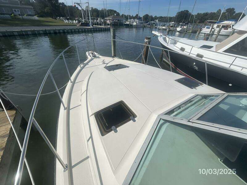 31' Pursuit fordeck1