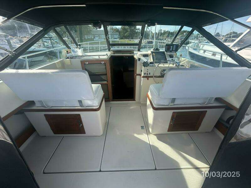 31' Pursuit upper deck forward