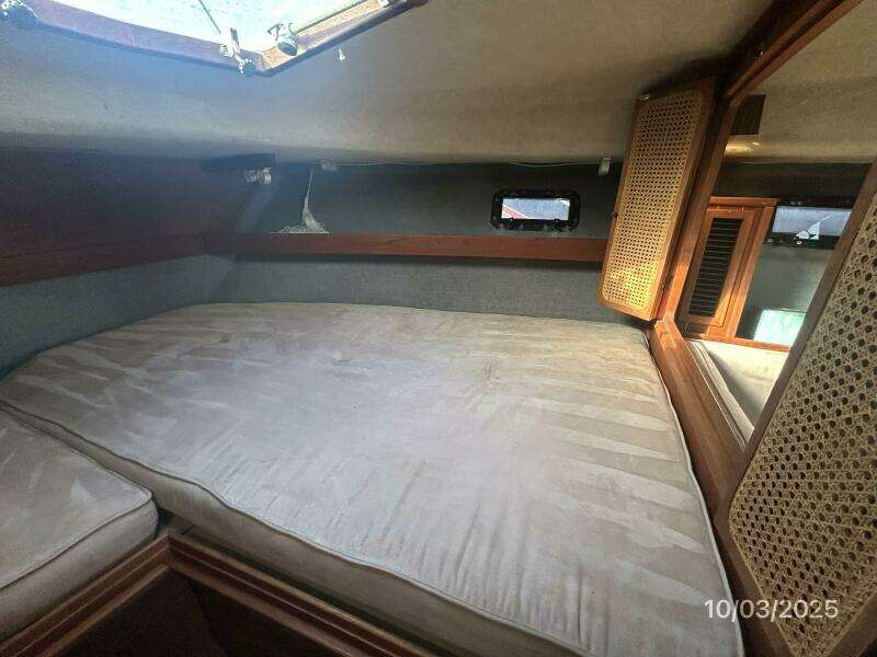 31' Pursuit stateroom starboard