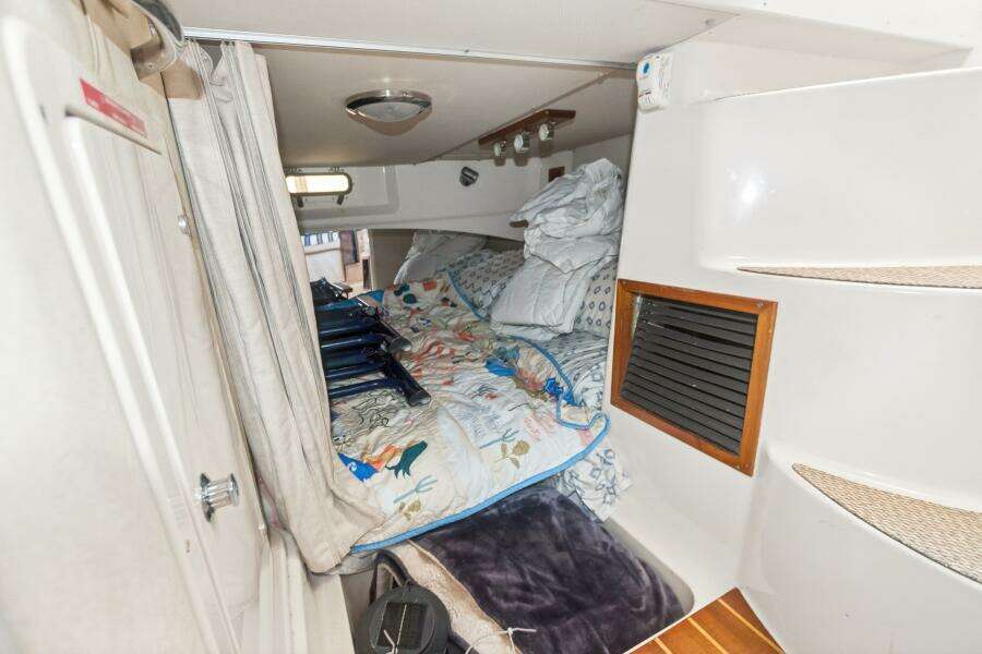 2006 Grady-White 330 Express - POLE POSITION