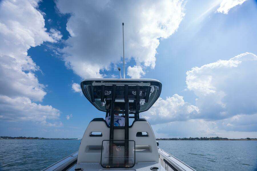 2024 Tidewater 3100 Carolina Bay