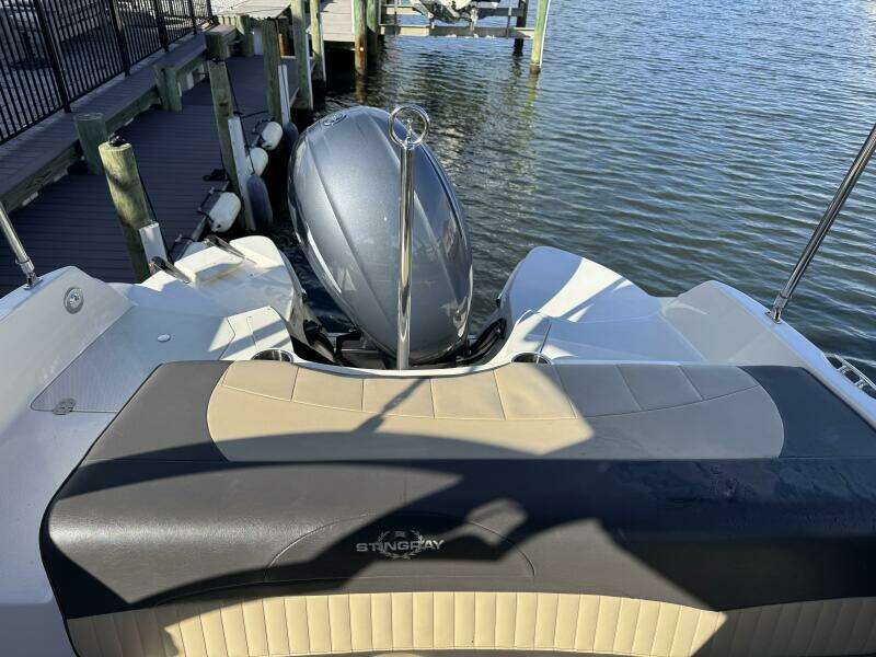 2019 Stingray 234LR