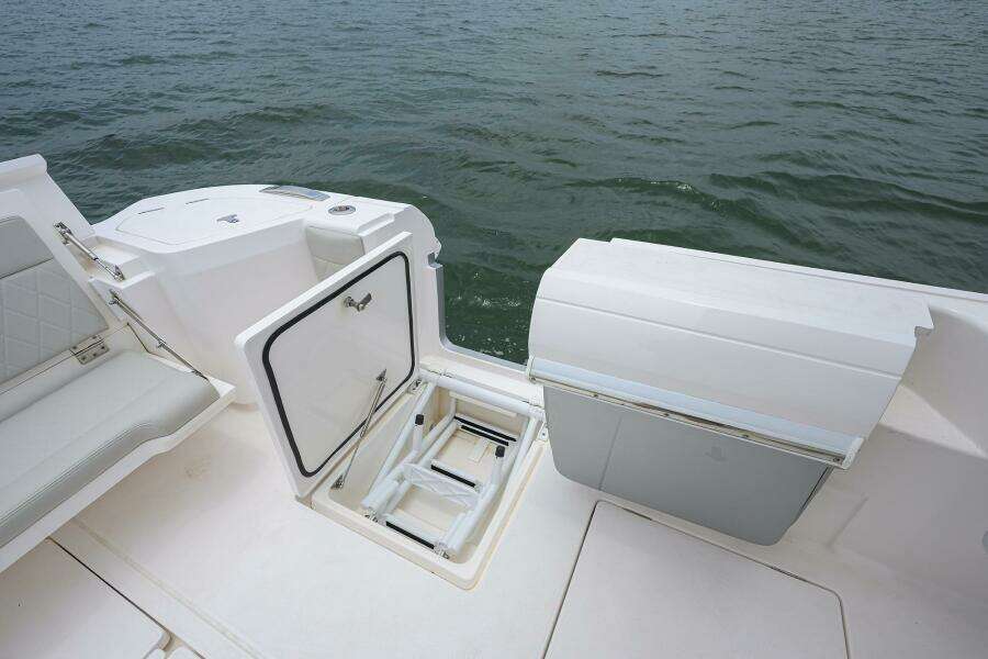 Intrepid 41 - Cockpit Swim Ladder