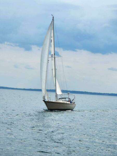 1984 Pearson Pearson 386