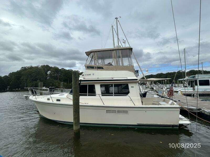 34' Sabreline port profile