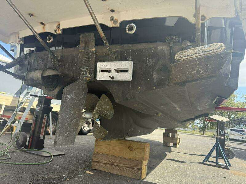 IMG_20251017_154434 (5)