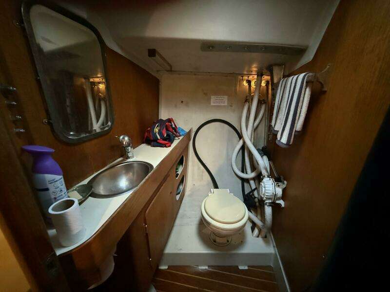 1986 Alsberg Brothers Express 37