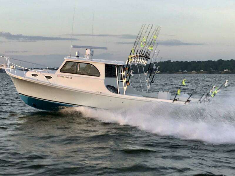 2019 Judge 36 Chesapeake