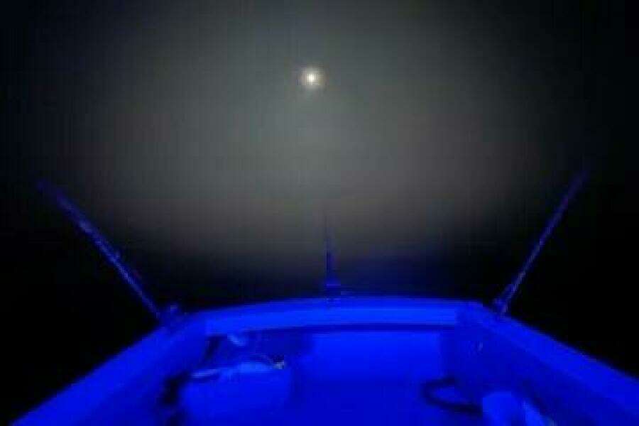 1981 Holland 32 Sport Cruiser