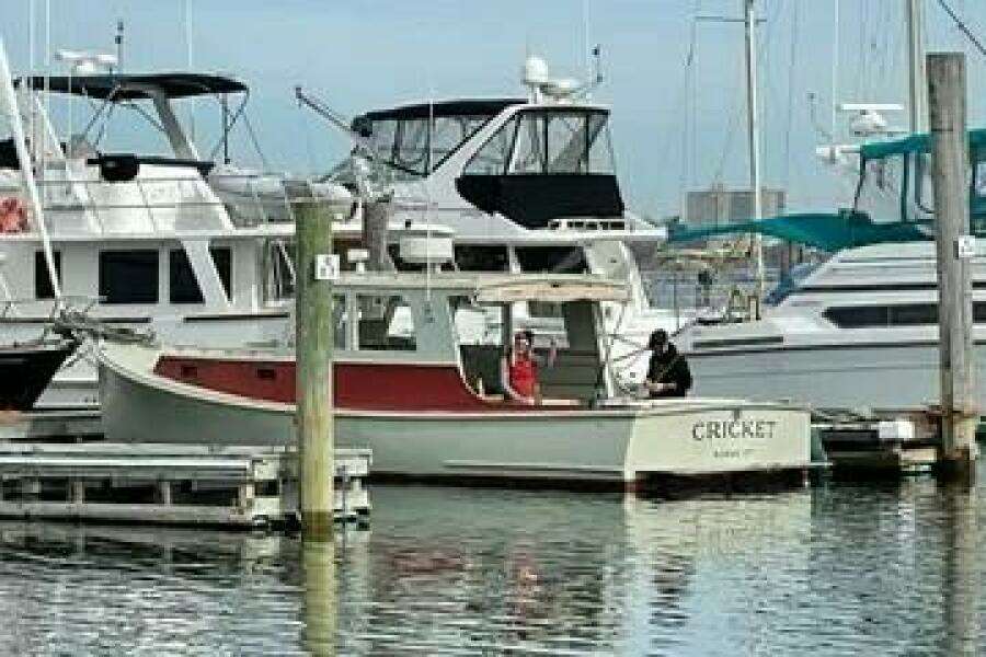 1981 Holland 32 Sport Cruiser