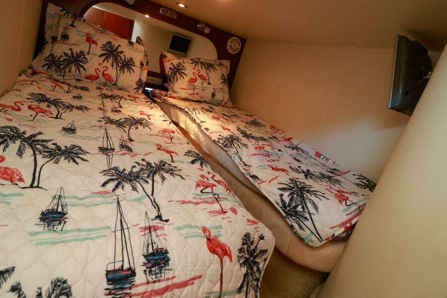 Twins in Guest Stateroom