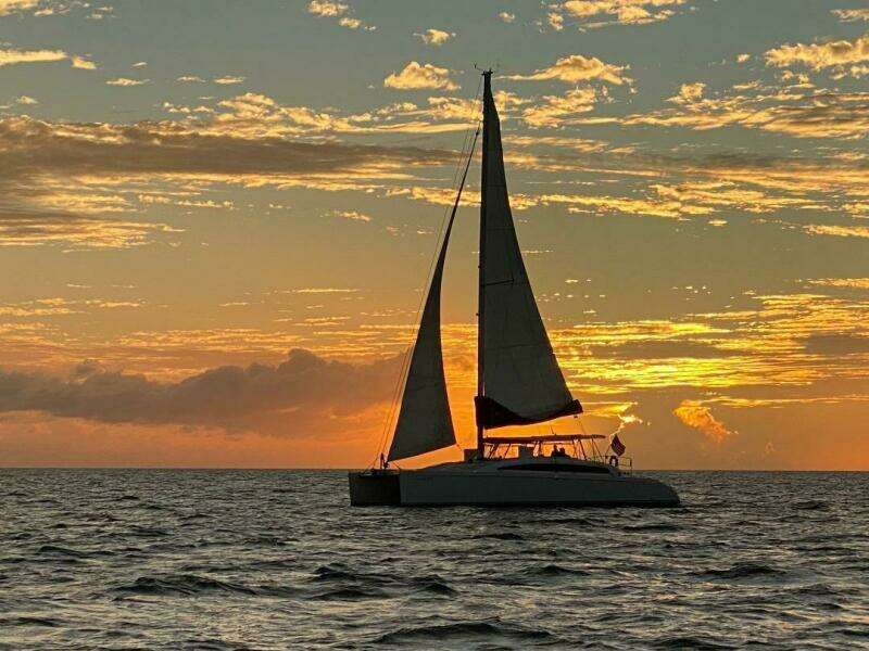 2015 Maine Cat MC 41