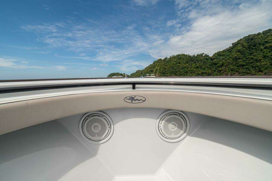 2024 Valhalla Boatworks V-33 "Shit Show"