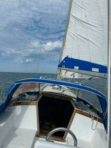 1985 Catalina Catalina 36-1