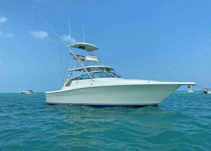 2001 Sea Ray 340 Amberjack