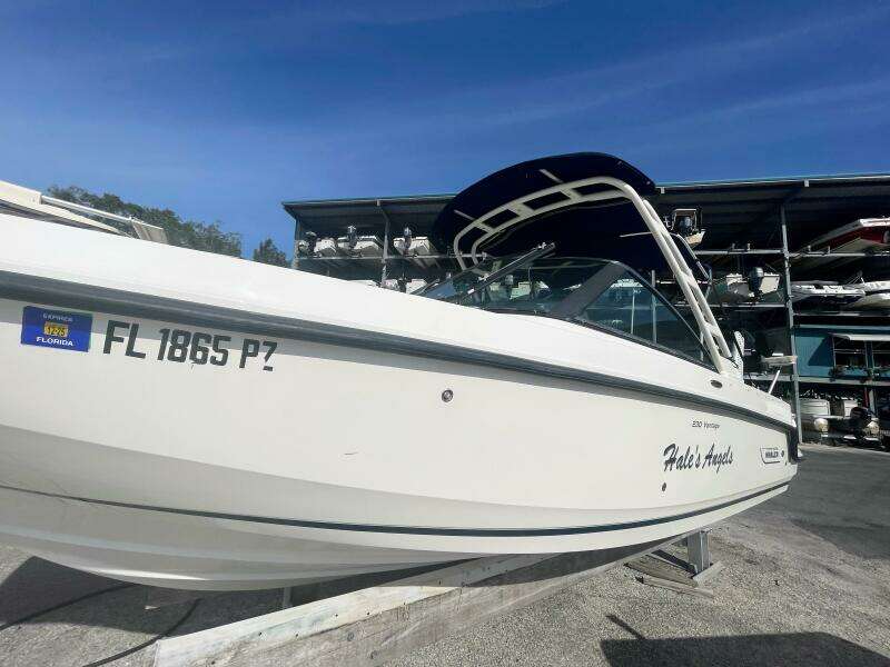 2015 Boston Whaler 230 Vantage