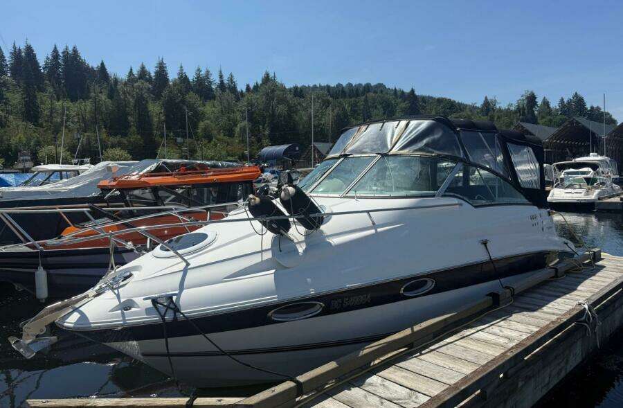 2007 Campion Allante 825