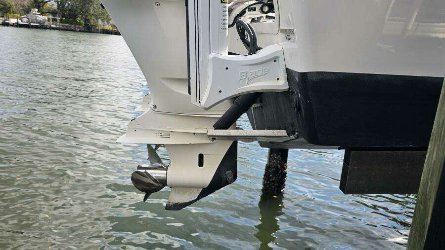 2021 Everglades 273CC