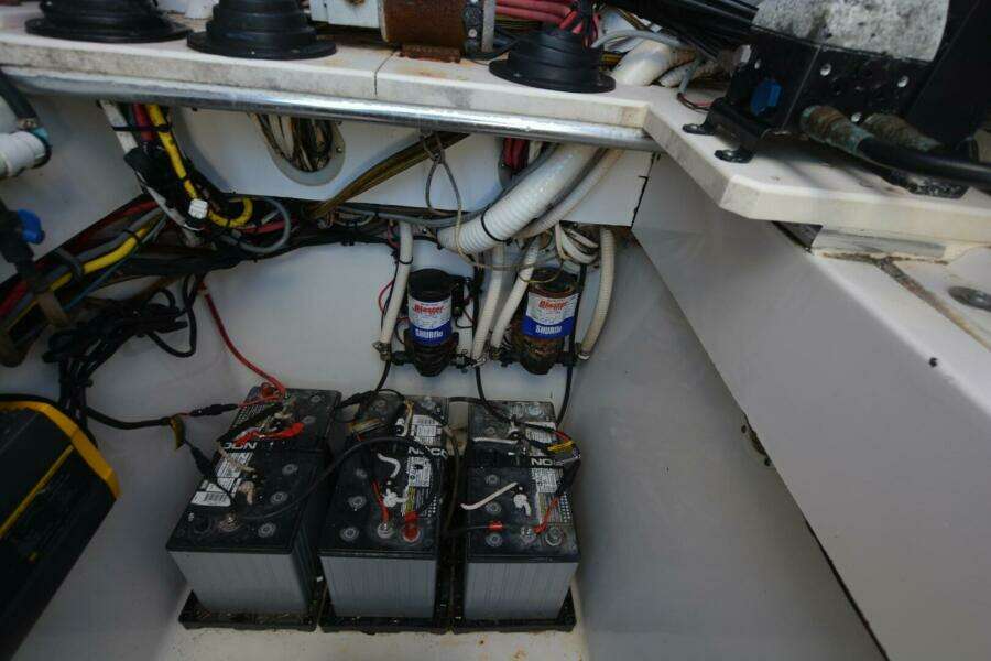 2006 Contender 33 Tournament