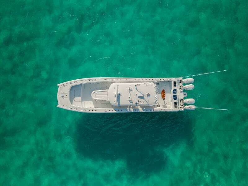 2024 Freeman 45- Just Looking