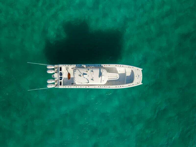 2024 Freeman 45- Just Looking