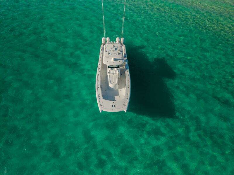 2024 Freeman 45- Just Looking