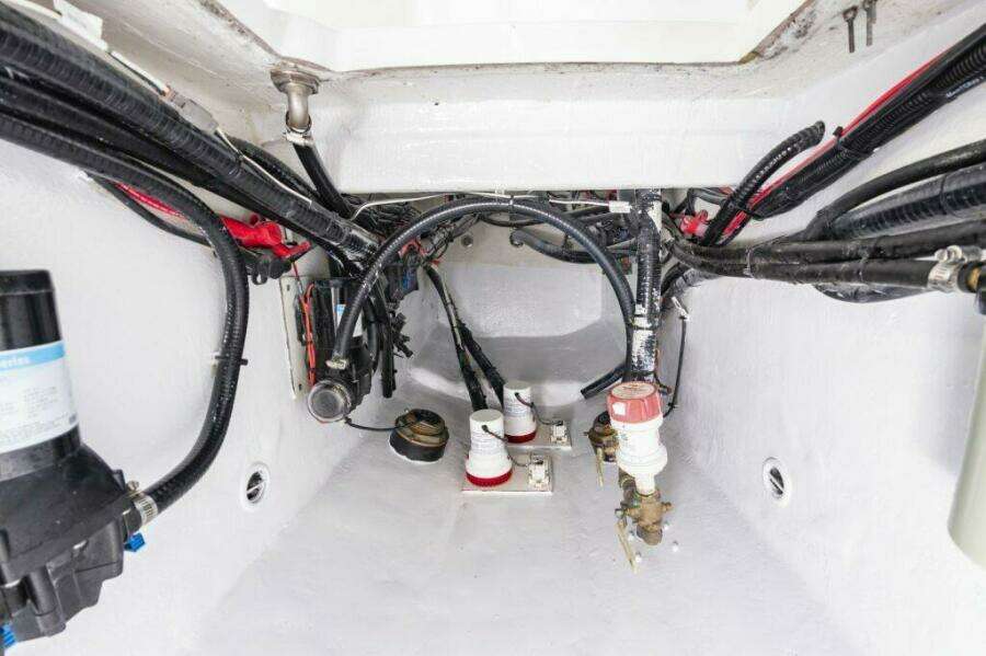 55563dfe Bf06 4a1a Bf7b 98f0b339bac8