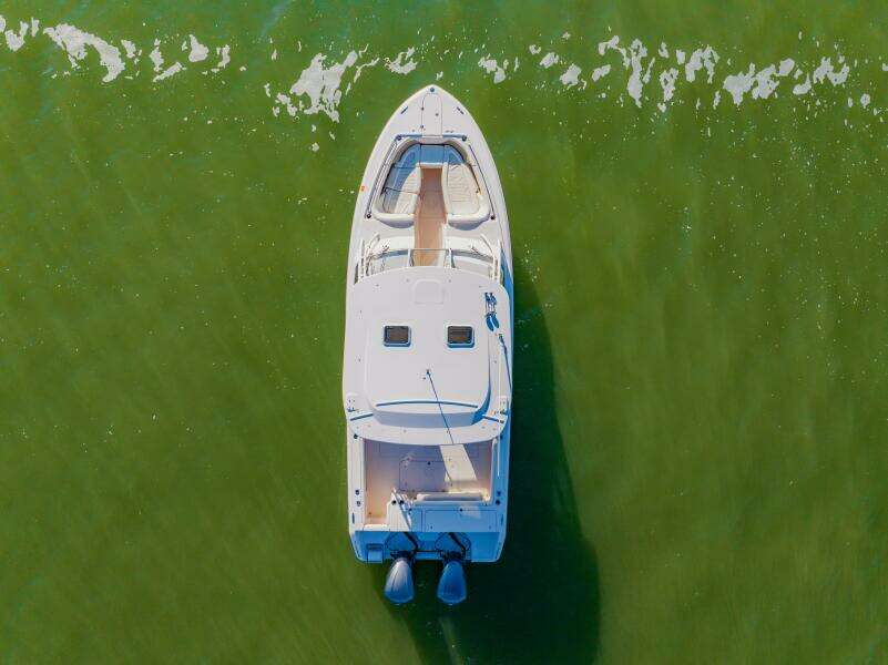 2013 Grady-White 335 Freedom