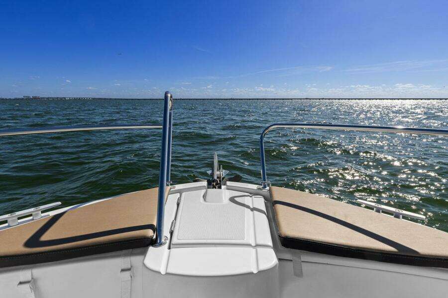 2017 Jeanneau Merry Fisher 695 Marlin