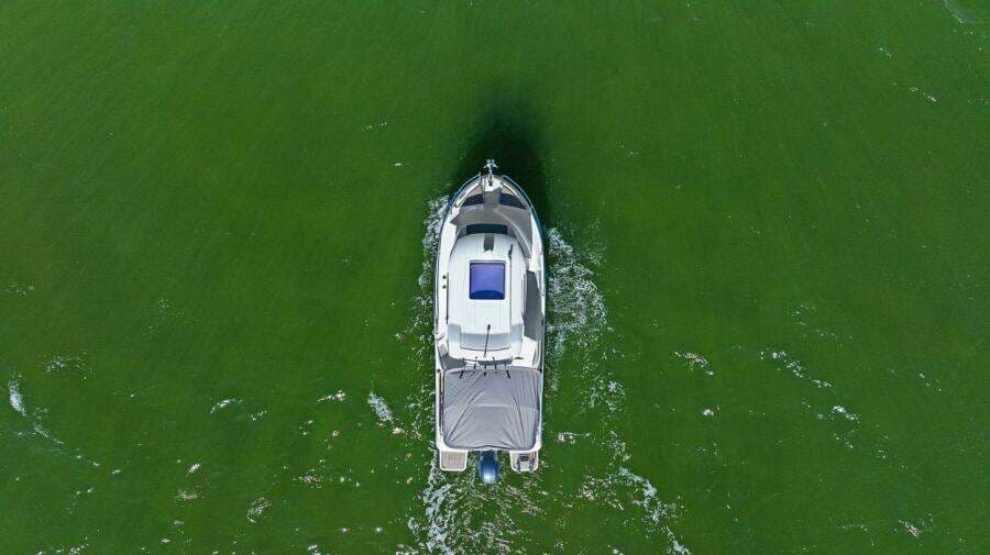 2017 Jeanneau Merry Fisher 695 Marlin