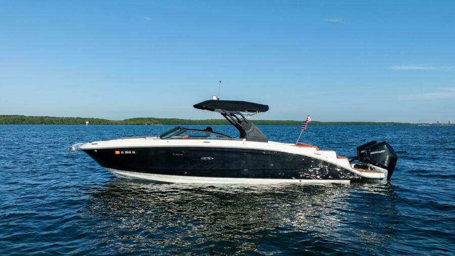 2019 Sea Ray SDX 290 OB