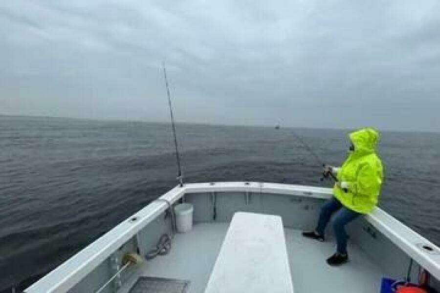 1998 Eastern JC Casco Bay 31