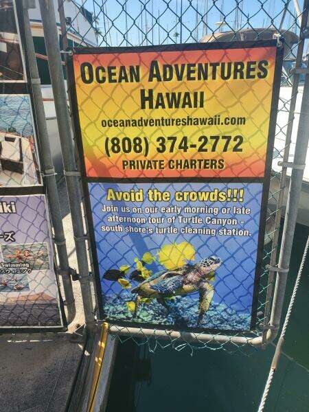 1981 CHB SEDAN-AFT CABIN